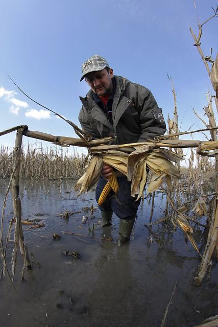 Поля в окрестностях Нови-Кнежеваца