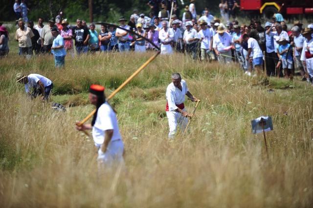 Косьба на сербской горе Раяц