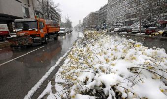 Снегопад в Нови-Саде