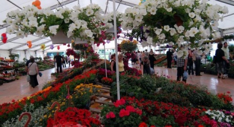 Фестиваль цветов Florafest в хорватском Славонски-Броде