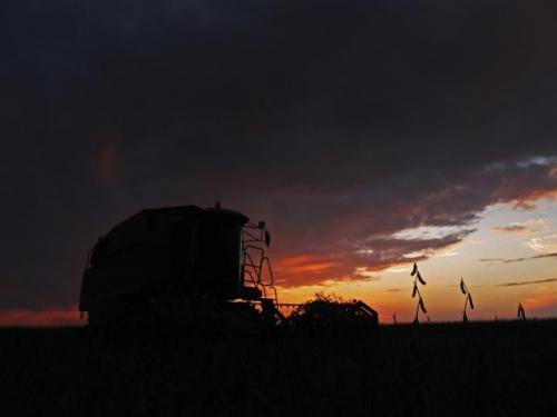 Уборка сои в сербской Воеводине
