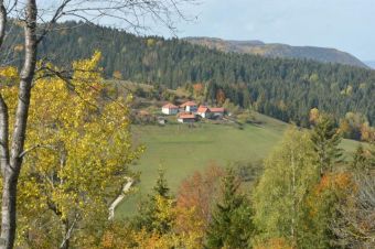 Бабье лето на сербской горе Златар