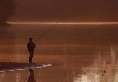 Рассвет в окрестностях Нови-Сада