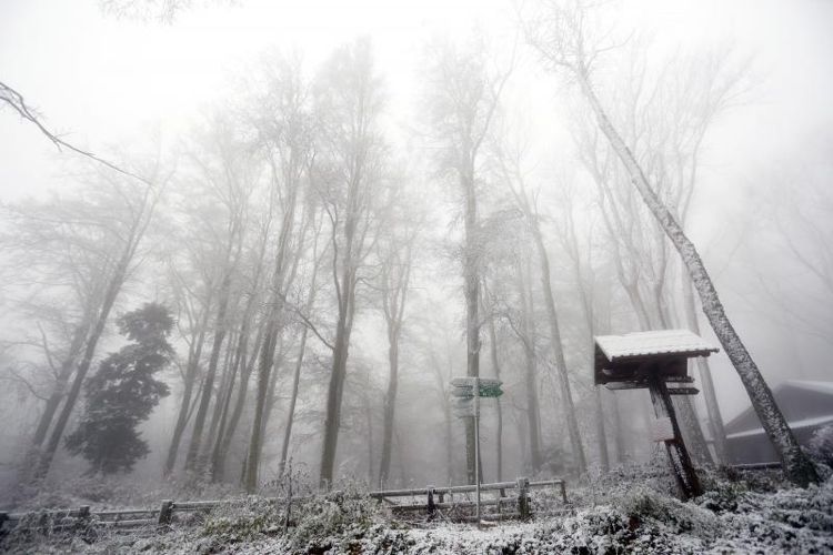 Первый снег на горе Медведница у Загреба в ноябре 2016 года