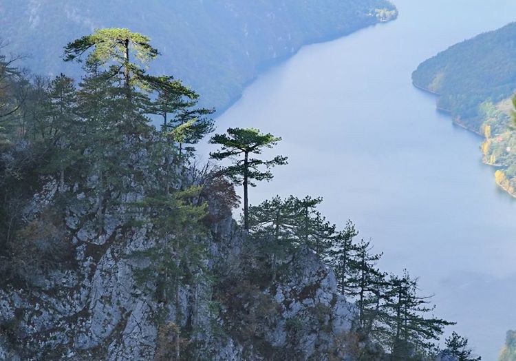 Вид на каньон реки Дрины с утеса Баньска стена