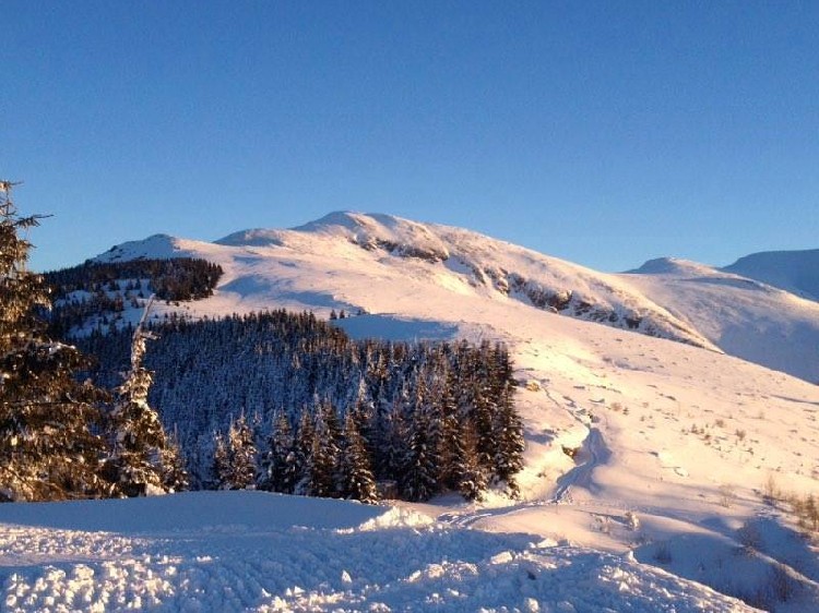 Сербский горнолыжный курорт "Стара-Планина" в феврале 2016 г.
