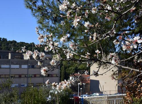 Солнечный день в Шибенике