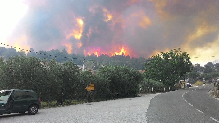 Пожар на полуострове Пельешац в Хорватии. Фото: Vecernji.hr, D. Violić 