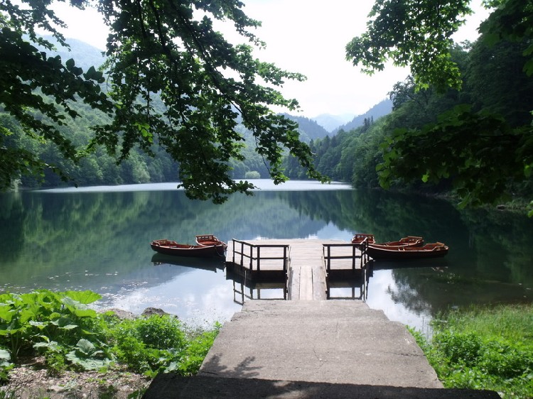 Национальный парк Biogradska gora в Черногории. Фото: Rivatravel.me