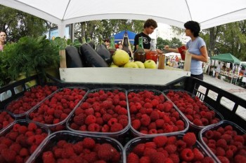 Ярмарка "Мой салаш" в Нови-Саде