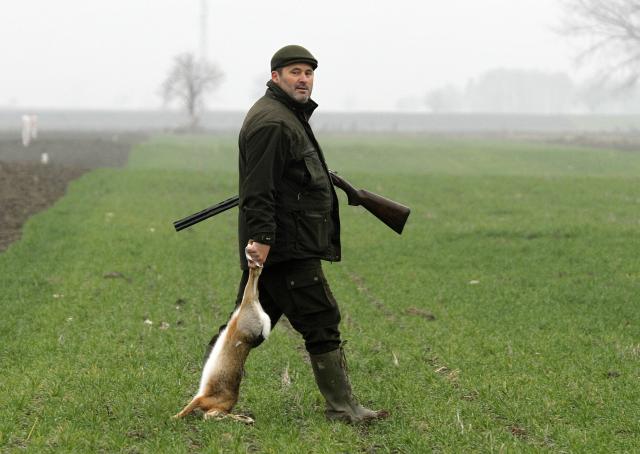 Охота на кроликов в Воеводине