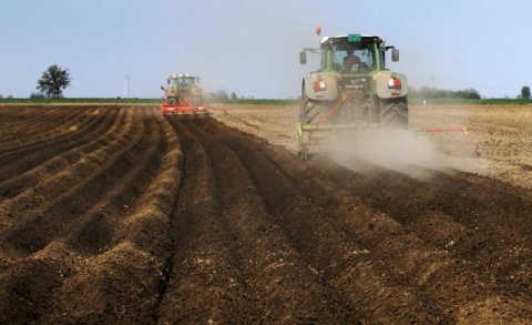 Весенние полевые работы в окрестностях Нови-Сада