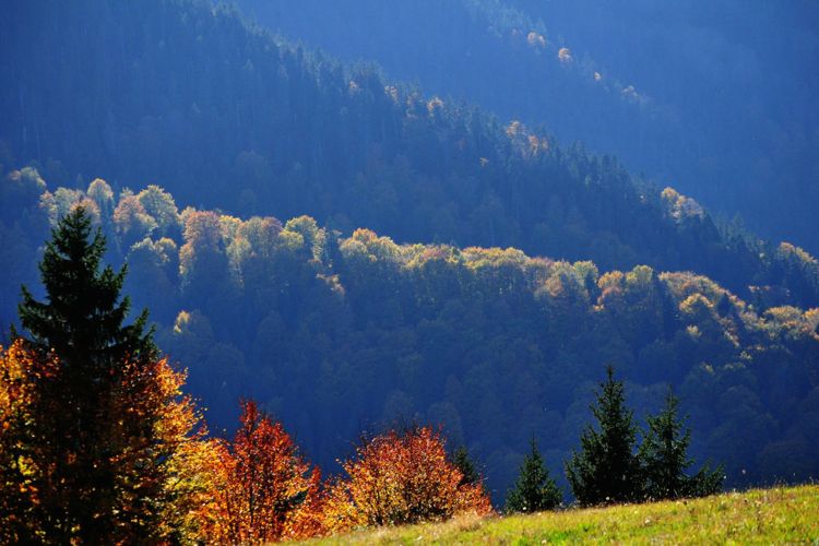 Национальный парк «Копаоник» осенью 2016 года