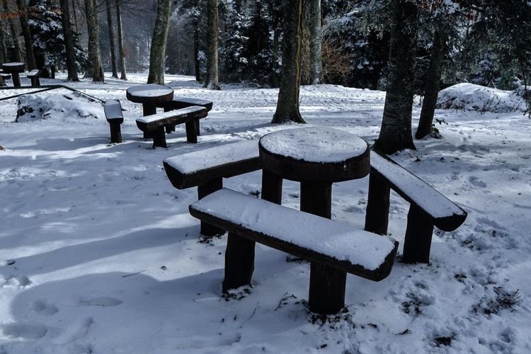 Гора Слеме у Загреба в начале зимнего сезона 2016-2017 гг.