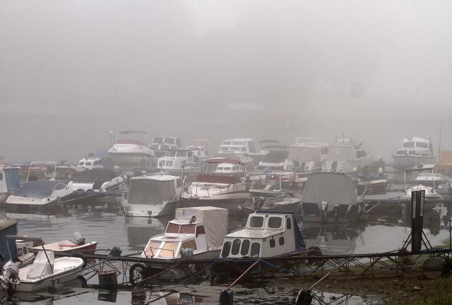 Октябрьское туманное утро в Нови-Саде
