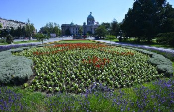 Солнечный день в Белграде
