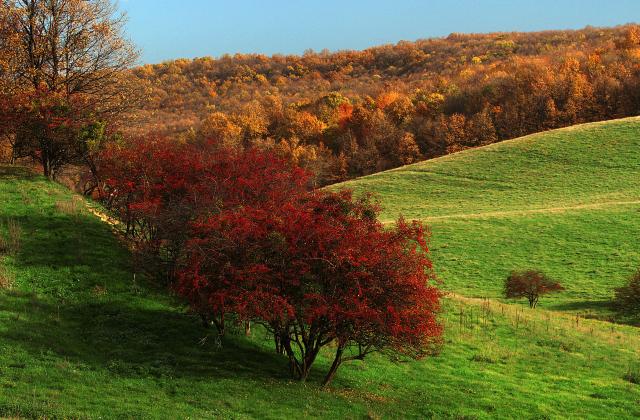 Осенние пейзажи сербского заповедника "Фрушка-Гора"