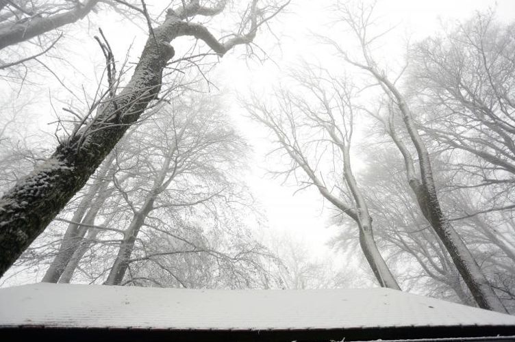 Первый снег на горе Медведница у Загреба в ноябре 2016 года