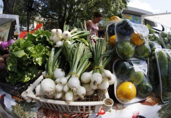 Рынок "Мой салаш" в Нови-Саде