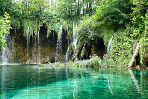 Изумрудная вода Плитвицких озерах в Хорватии. Фото: Яндекс.Фотки, Денис